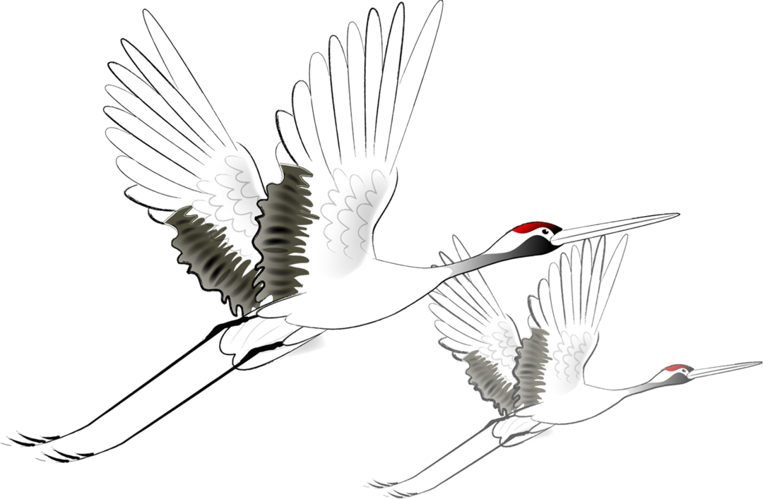 花城控股集團(tuán) 花城控股集團(tuán)