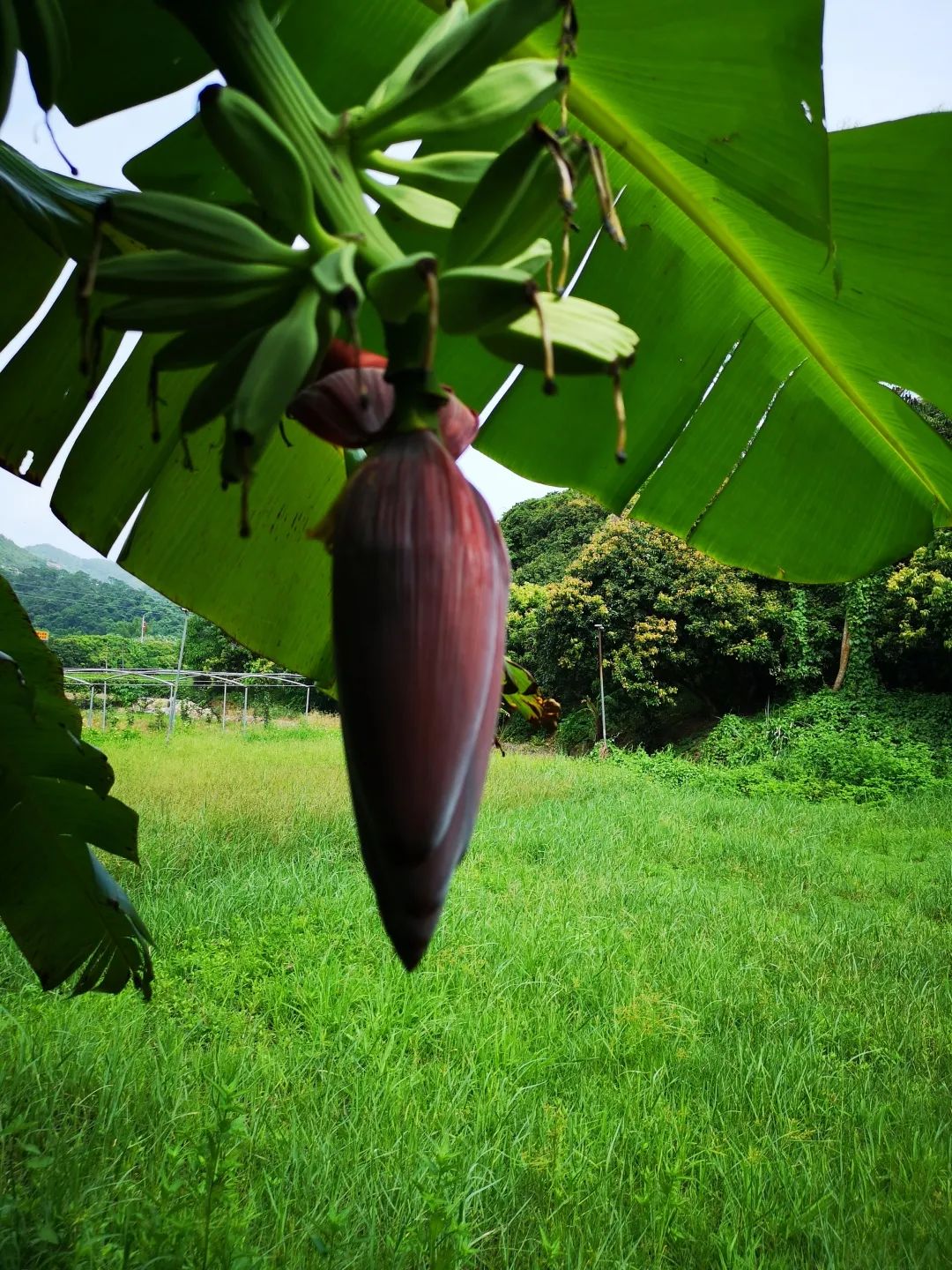 花城控股集團(tuán)