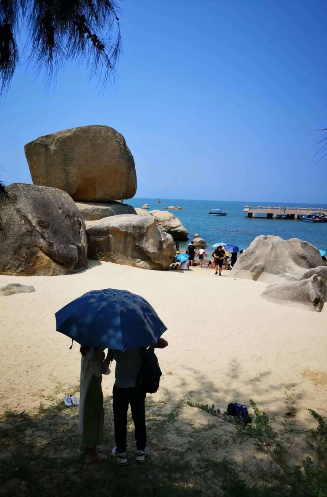 花城控股集團(tuán)