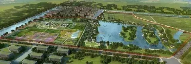 花城控股集團(tuán)